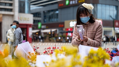 從斗南“花語(yǔ)”聆聽(tīng)奮進(jìn)足音——“亞洲花都”傳奇