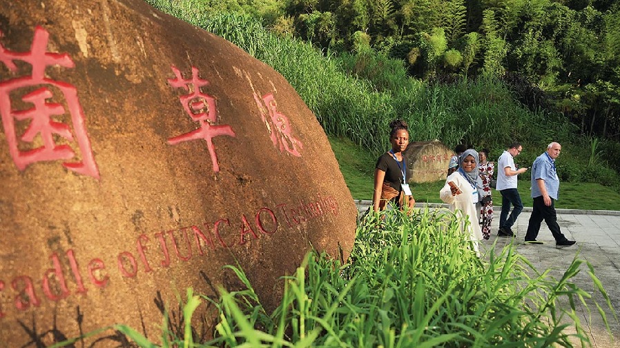 他，讓肯尼亞愛(ài)上中國(guó)“神奇草”