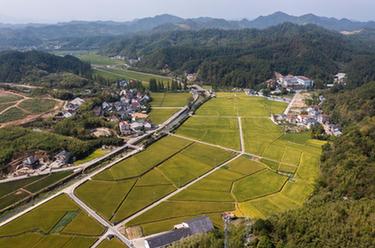 農旅融合 繪就美麗鄉(xiāng)村新畫卷