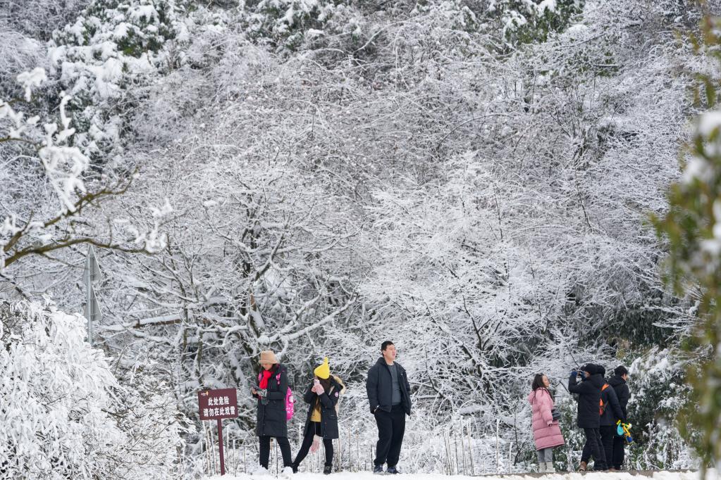 重慶：冰雪經(jīng)濟(jì)催動金佛山冬季旅游實(shí)現(xiàn)“開門紅”