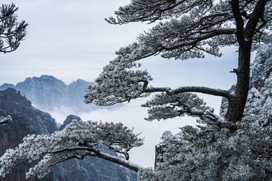 安徽黃山初春現(xiàn)霧凇美景