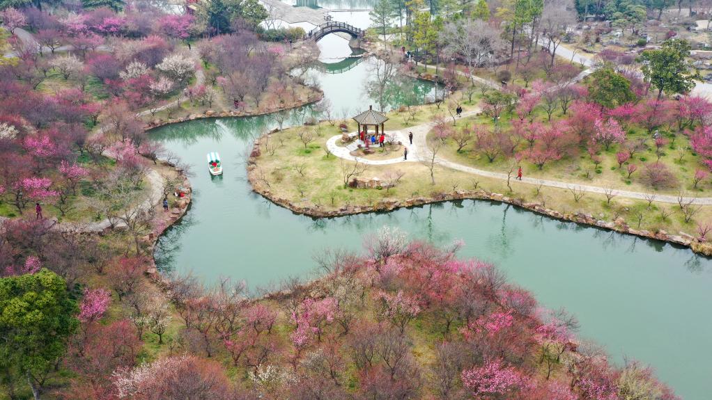 踏青賞花 樂享春光