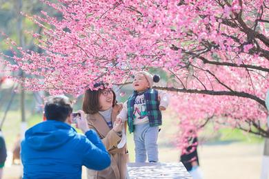 花開(kāi)春意濃