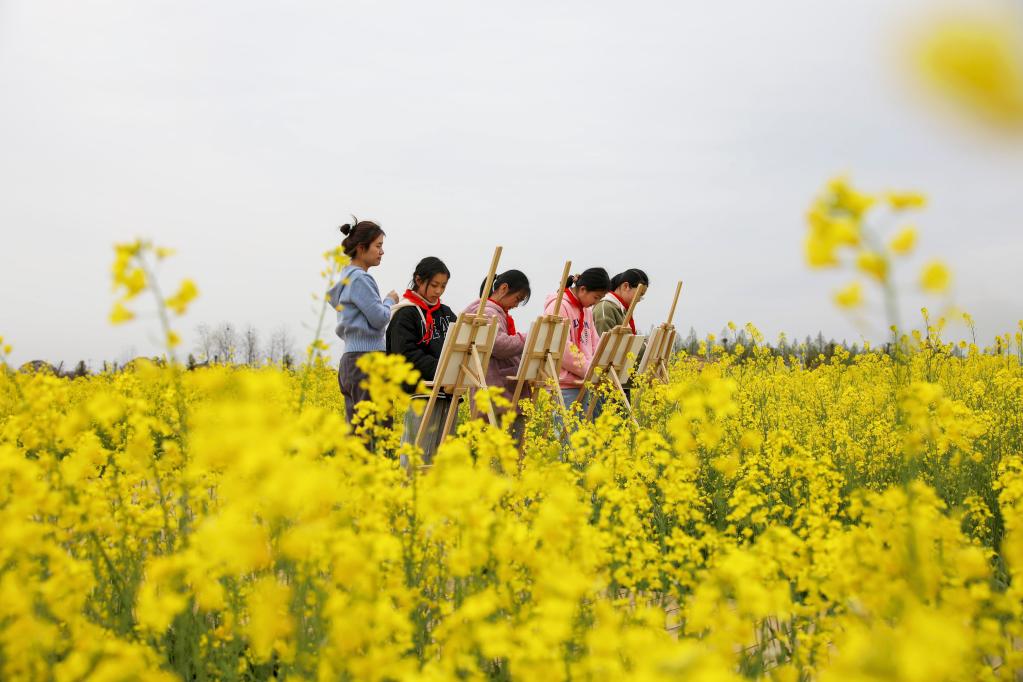 油菜花開鄉(xiāng)村美