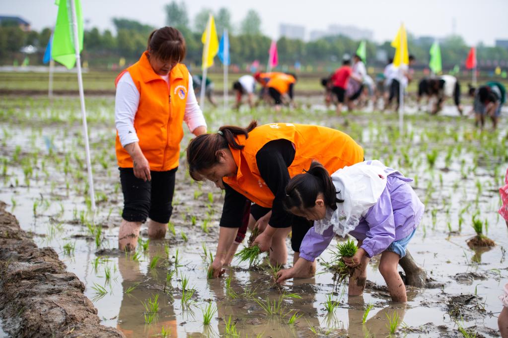 趣味農(nóng)事比賽度周末