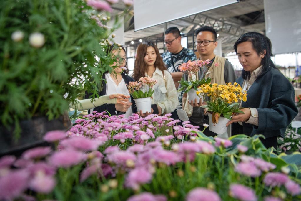 重慶大足：花卉產業(yè)為鄉(xiāng)村振興添香增色