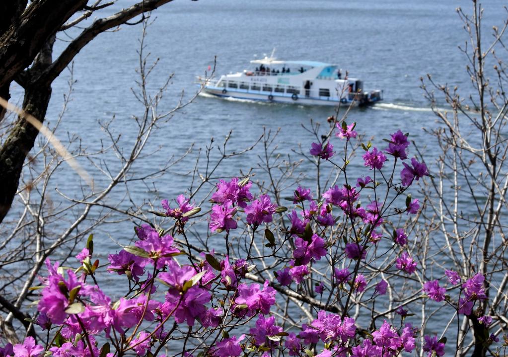 花開鏡泊湖