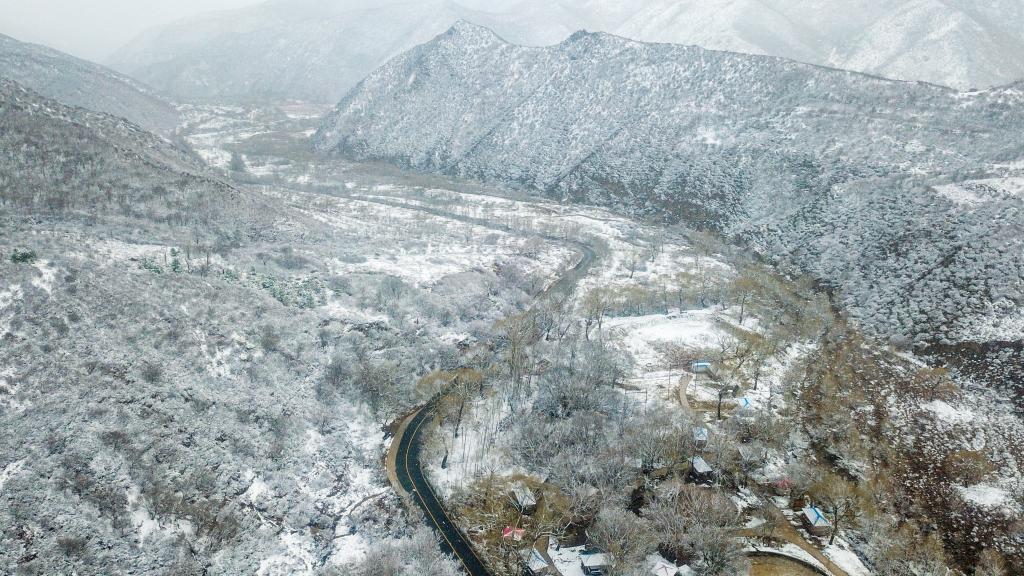 陰山春雪