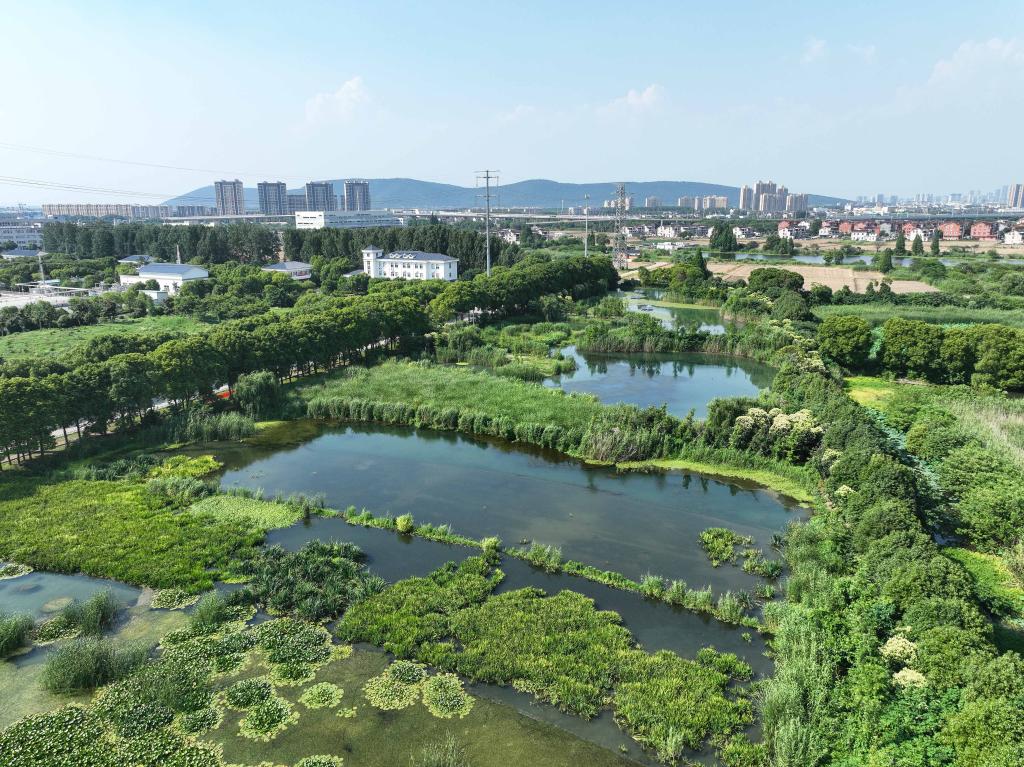 江蘇常熟：尾水生態(tài)凈化造城市“綠肺”