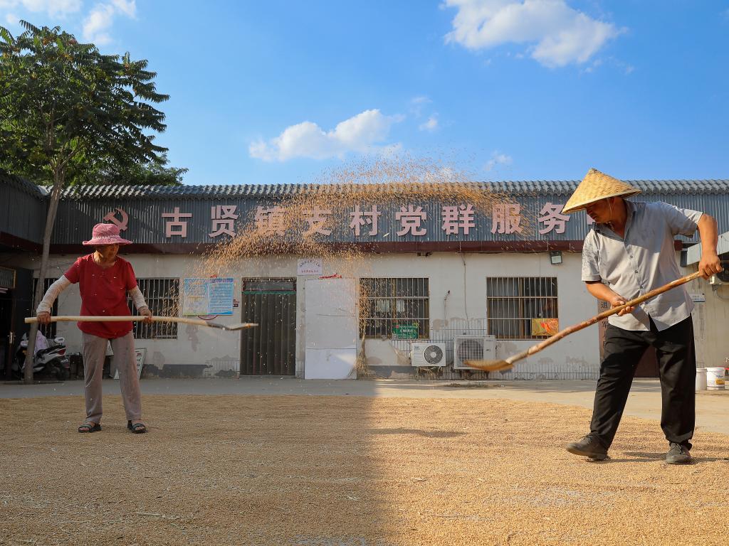 新華全媒+丨河南安陽：“騰地曬糧”解決群眾“急難愁盼”