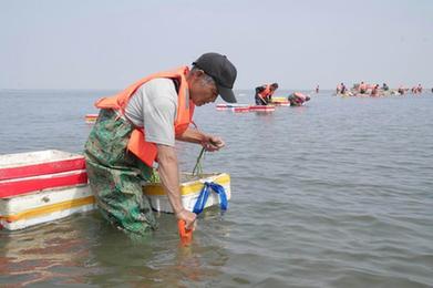 河北唐山：投礁種草修復(fù)渤海生態(tài) “海底沙漠”現(xiàn)“綠洲”