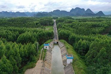 廣西來賓：“桂中治旱”工程灌溉良田百萬畝