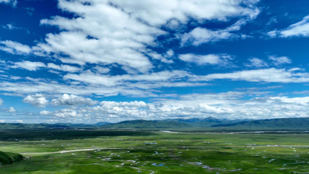 美麗中國丨夏日瑪曲濕地