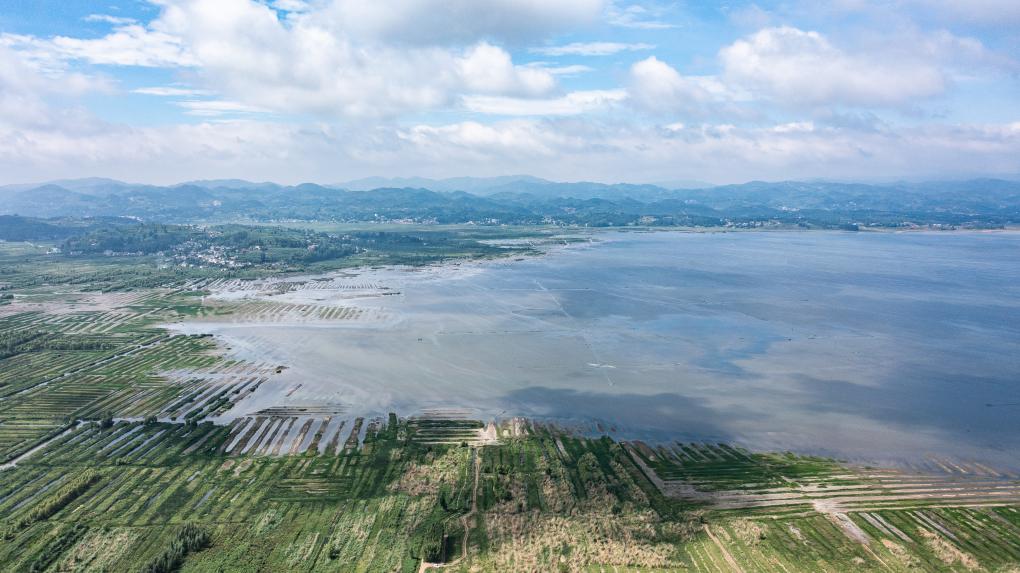 夏日草海景如畫