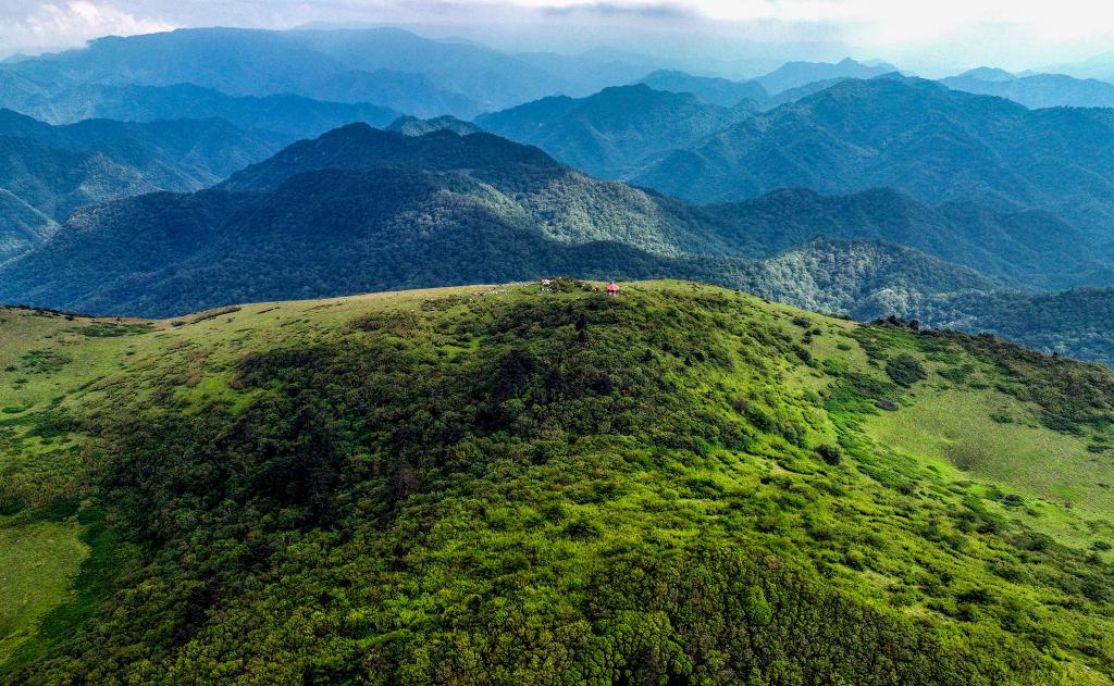 美麗中國(guó)丨陜西留壩：紫柏山草甸醉游人