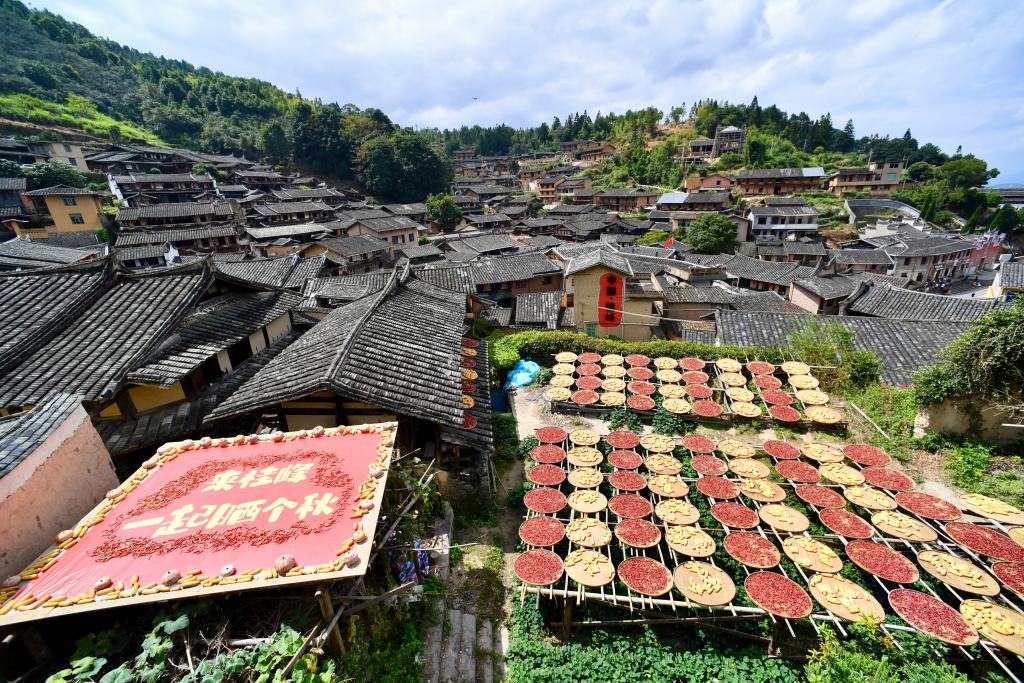 福建尤溪：古村“曬秋”忙