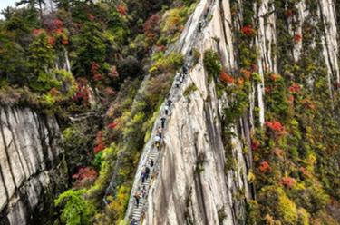 美麗中國丨西岳華山層林盡染