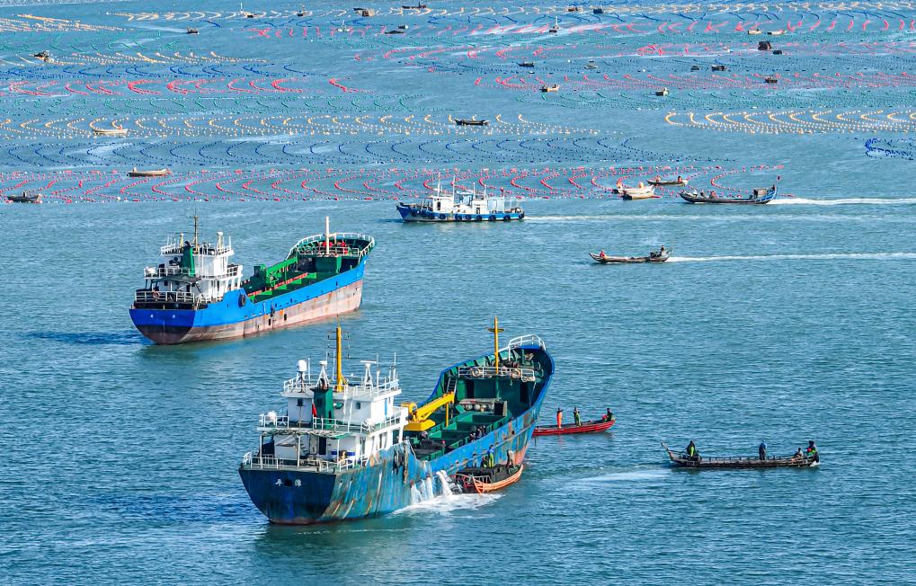 山東榮成：鮑魚(yú)“南下”開(kāi)啟越冬之旅