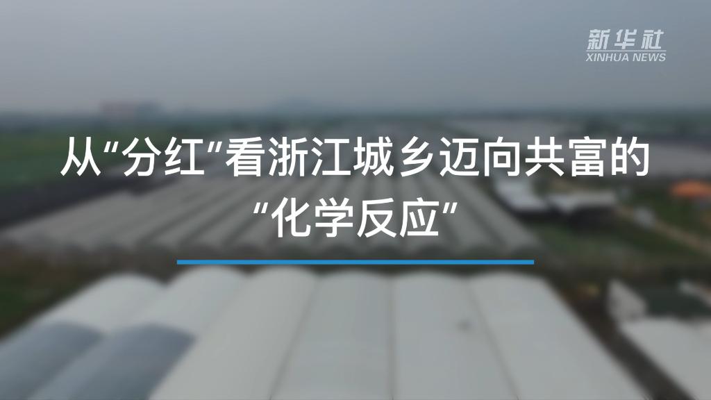 奮進(jìn)新征程 建功新時(shí)代｜從“分紅”看浙江城鄉(xiāng)邁向共富的“化學(xué)反應(yīng)”