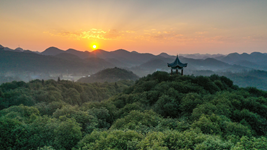 提升生態(tài)碳匯能力，植樹造林怎么干？