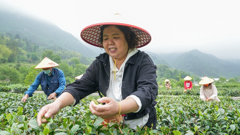 守“綠”換“金”！大別山區(qū)“兩山”實(shí)踐創(chuàng)新基地觀察