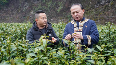 龍獻文：奮戰(zhàn)在鄉(xiāng)村振興一線