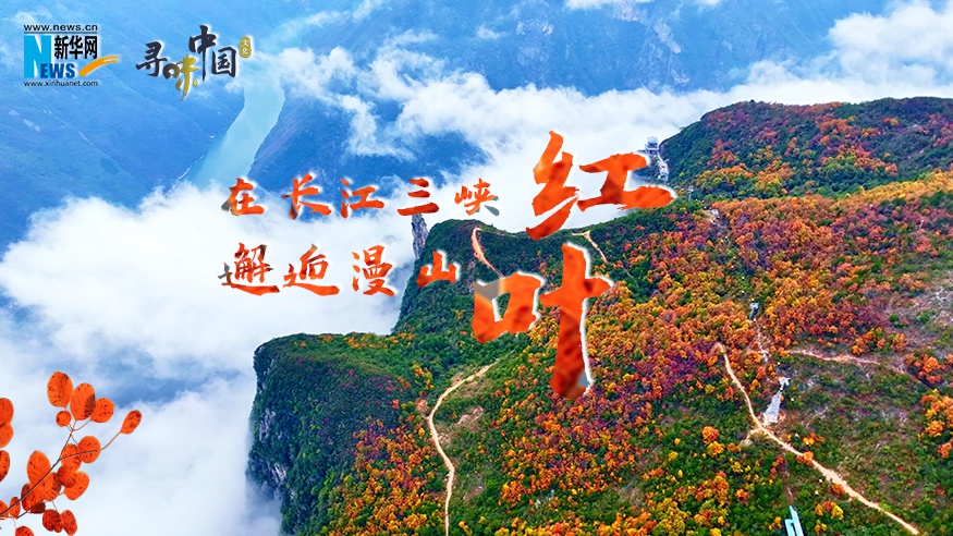 在長江三峽邂逅漫山紅葉