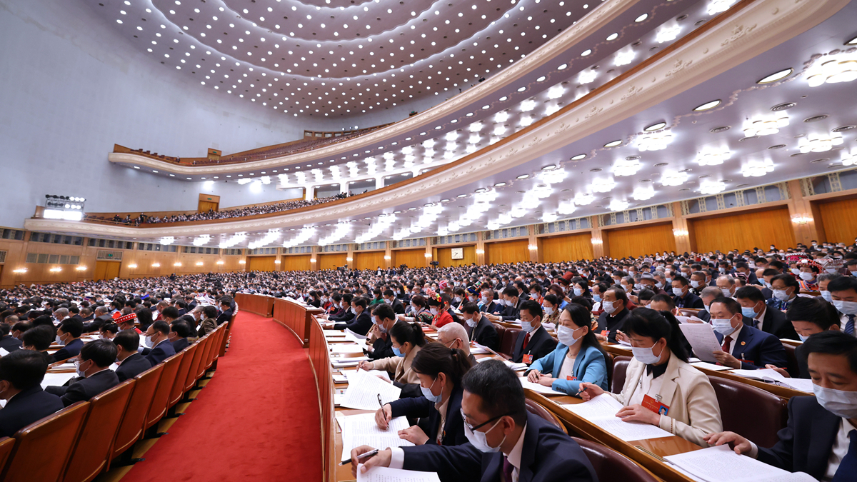 十三屆全國(guó)人大五次會(huì)議舉行第二次全體會(huì)議