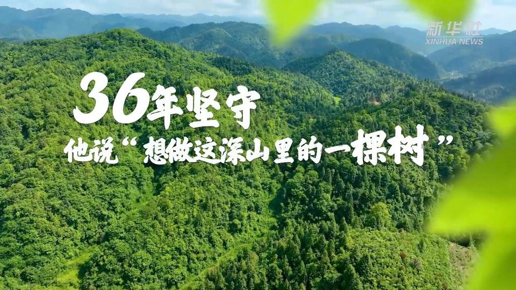 36年堅(jiān)守！他說(shuō)“想做這深山里的一棵樹”