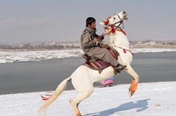 雪后喀布爾