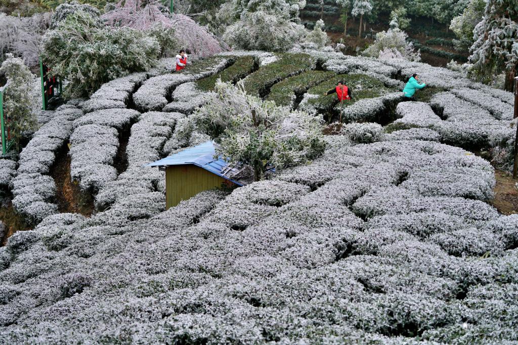 多地迎來(lái)降雪